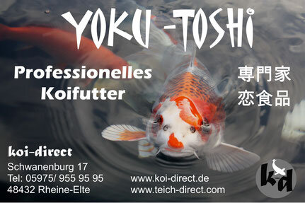 Yoku-Toshi Koifutter YT33 - Basis