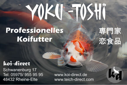 Yoku-Toshi Koifutter Wheat-Germ - Herbst/Winter 2 kg - Eimer 6 mm