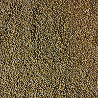 Yoku-Toshi Koifutter Wheat-Germ - Herbst/Winter 2 kg - Eimer 6 mm